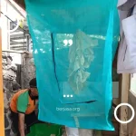 bisnis maggot, bisnis maggot dari rumah