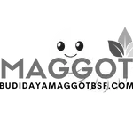 budidaya-maggot-bsf-icon