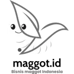 bisnis maggot indonesia