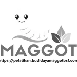 pelatihan-budidaya-maggot-icon