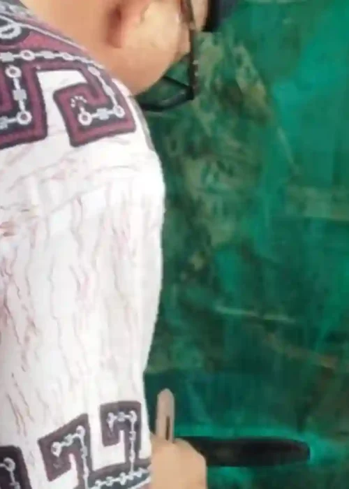 bisnis maggot dari rumah2