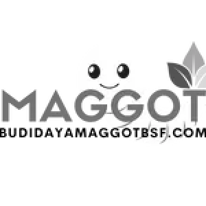 budidaya-maggot-bsf-icon